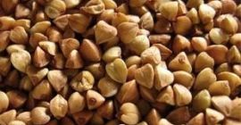 Semillas de trigo sarraceno al por mayor. Vendemos semillas