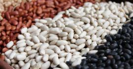 La empresa compra frijoles para procesamiento. Cualesquiera variedades y