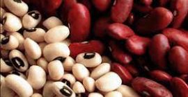 Vendemos frijoles rojos, frijoles blancos al por mayor con