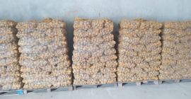 Venderé patatas variedad Melody en sacos de 15 kg.