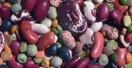 Frijoles rojos al por mayor, frijoles blancos con entrega