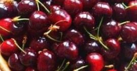 Estamos vendiendo cerezas producidas en Bulgaria, la región de