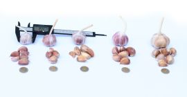 Hola, mis clientes habituales y nuevos. En cuanto a