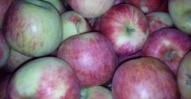 Tengo que vender 100 cajas de pirosa. La manzana