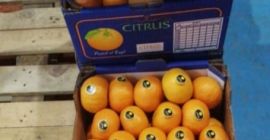 Tenemos limón, lima, cítricos en stock, carga de contenedor