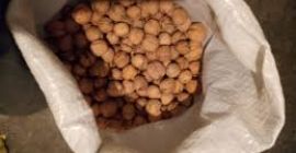 Hola vendo nueces a partir del 2020-2021, mas informacion