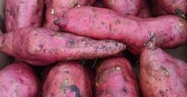 Tenemos fresas, uvas, cebollas, naranjas, limón, lima, ajo, jengibre,