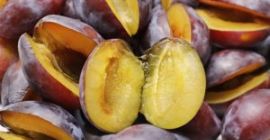 Estableceremos una cooperación con los compradores de fruta fresca
