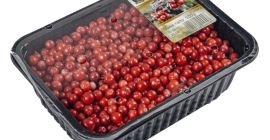 Arándanos frescos a la venta en la temporada de
