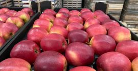 ¡Hola! Somos una empresa ubicada en Polonia que se