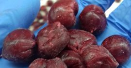 Cerezas ácidas bio y convencionales deshuesadas IQF. Deshuesadora de