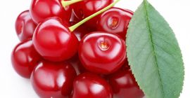 Venta de cerezas agrias frescas. La variedad Oblacinska, el