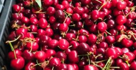 Venderé cerezas directamente de productores de Hungría.