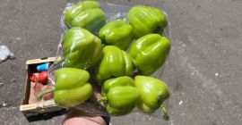 Pimienta verde de Cracovia de Irán, Turquía, Uzbekistán La