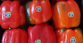 Pimiento rojo de CALIFORNIA. - 8,00 PLN / KG