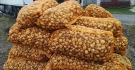 Topinambur. Propiedades: no contiene almidón, pero hasta un 18%