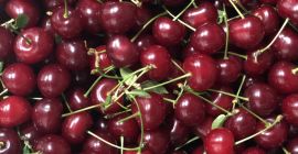 Vendo cerezas muy sabrosas, gran cantidad, huerto en Iasi.