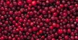 Grosella roja congelada (cranberry). Clase A Aronia negra silvestre