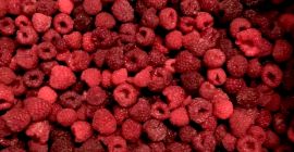 Frambuesas congeladas. Grado A, B, C, Crumb Las materias