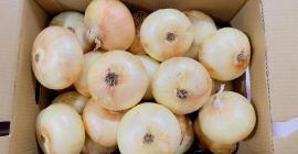 Siéntase libre de cooperar, cooperación permanente entregas de camiones