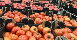 Ofrecemos entregas de patatas y otras verduras desde Polonia