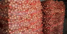 Ofrecemos entrega de patatas y otras verduras desde Polonia