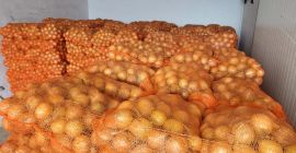 Ofrecemos entrega de patatas y otras verduras desde Polonia