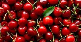 Vendemos 50-100 T cerezas