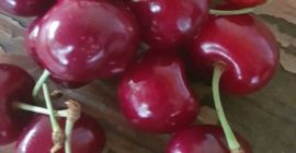 Venderé cerezas de Moldavia de la variedad Moldavian Multi-fruit,