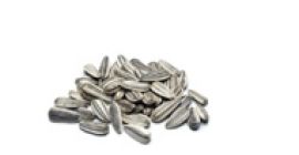 Se vende girasol ecológico Se vende girasol ecológico