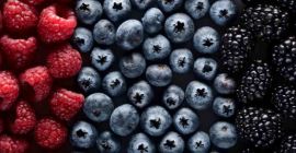 Venta de frutos del bosque, setas y trufas Plantas