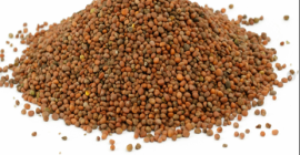 Ofrecemos cereales de alta calidad (alfalfa, festuca, sainfoinЮ, ballico,