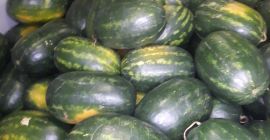 ¡Melón clase I! ¡Hungría!