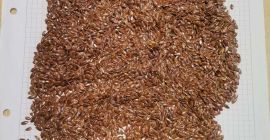 Ofrecemos a la venta nuestra propia producción de maíz