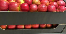 Exportamos manzanas a cadenas de supermercados e importadores europeos.