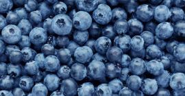 Vendo arándanos ECO Somos de Macedonia para obtener más