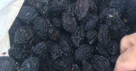 Necesitamos 300 toneladas de ciruelas secas (ciruelas) tamaño grande