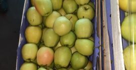 Hola. Vendo manzana Golden Delicious. Embalado en cajas de