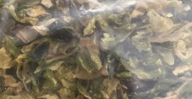 Venta de repollo seco deshidratado. Las dimensiones son 10X10