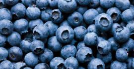 Venderé bayas de eslovaquia Número de teléfono +421911669130