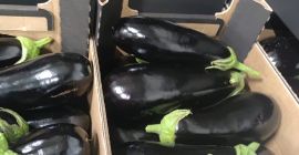 Berenjena polaca fresca en cantidades de automóviles