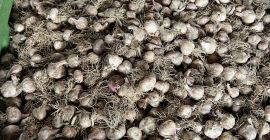 Hola, tengo a la venta una gran cantidad de