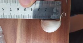 Ajo de alta calidad a un precio asequible.