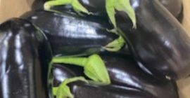 Berenjena fresca polaca, envasada 5 kg en una caja
