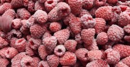 Variedad de frambuesa Iqf: Willamette, Calidad: 95/5, Empaque:4×2.5 kg