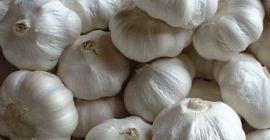 Ajo fresco / congelado de alta calidad de Vietnam