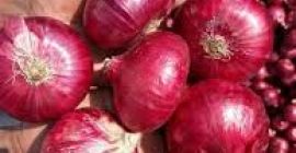Hecho en Vietnam Producto de agricultura caliente Chalote fresco