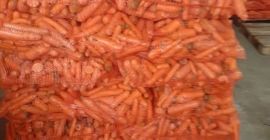 Vendo zanahorias pequeñas, lavadas, forrajeras por 30 gr kg.