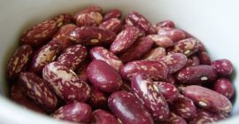 Frijoles rojos / de colores envasados en sacos de