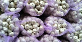 Especificación y embalaje: el ajo blanco normal y el